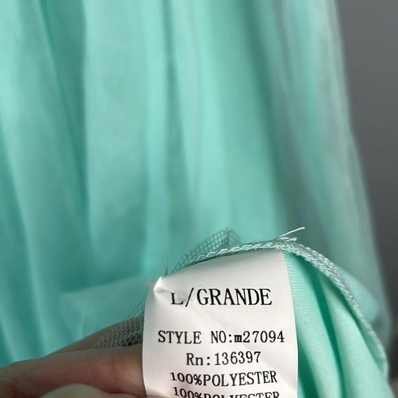 MANIJU NWT Prom  Dress Mint Green Lace Appliqués Over Tulle Floor Length Gown L - Picture 7 of 12